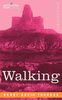 Walking