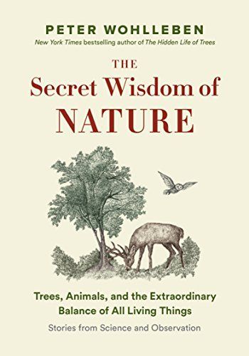 The Secret Network of Nature