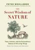 The Secret Network of Nature