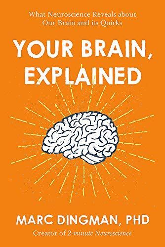Your Brain, Explained