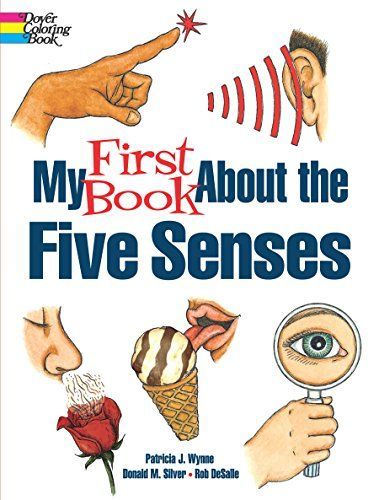 My First Book About the Five Sense