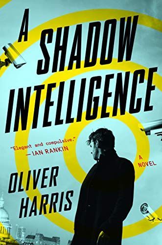 A Shadow Intelligence