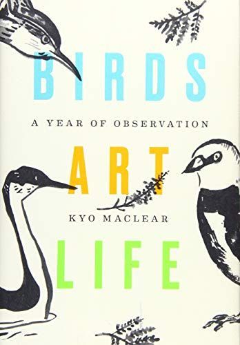 Birds Art Life