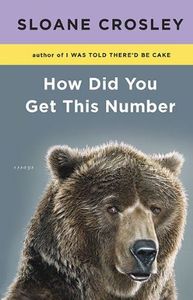 How Did You Get this Number