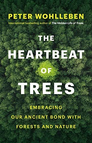 The Hearbeat of Trees: Embracing Our Ancient Bond with Forests and Nature