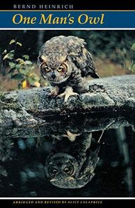 One Man's Owl