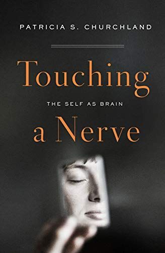 Touching a Nerve: Our Brains, Our Selves