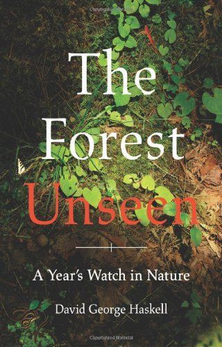 The Forest Unseen