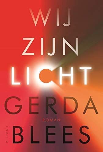 Wij zijn licht. Roman