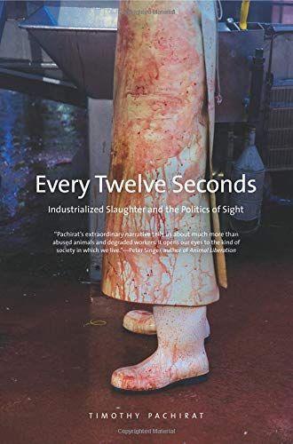 Every Twelve Seconds
