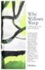 Why Willows Weep