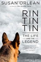 Rin Tin Tin