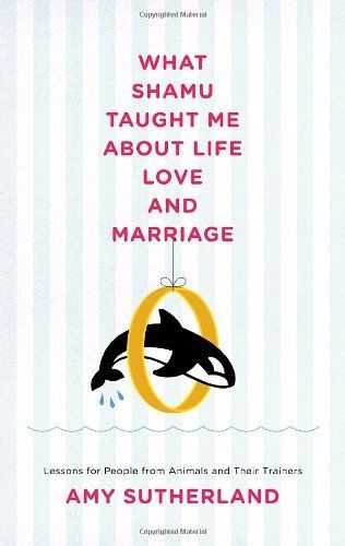 What Shamu Taught Me about Life, Love, and Marriage