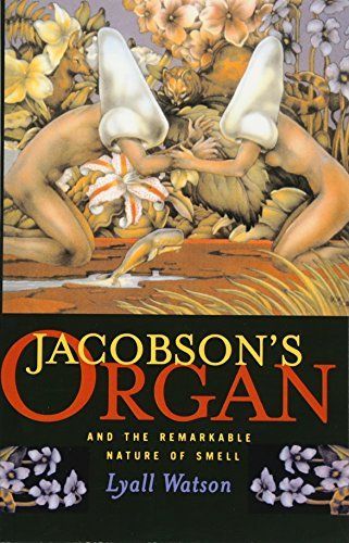 Jacobson's Organ