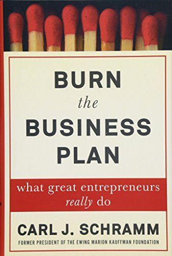 Burn the Business Plan