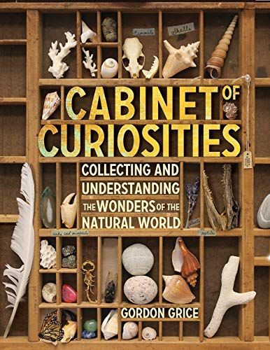 Cabinet of Curiosities