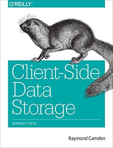 Client-Side Data Storage