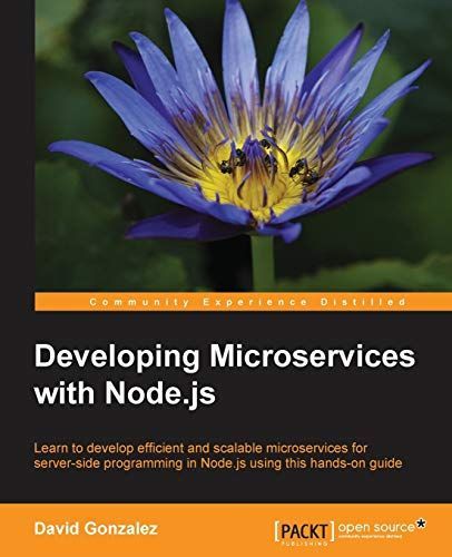 Developing Microservices with Node.Js