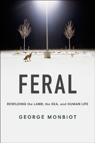 Feral