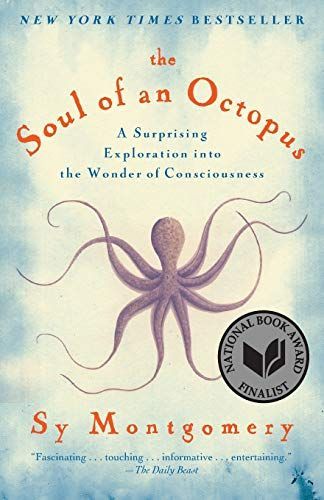 The Soul of an Octopus