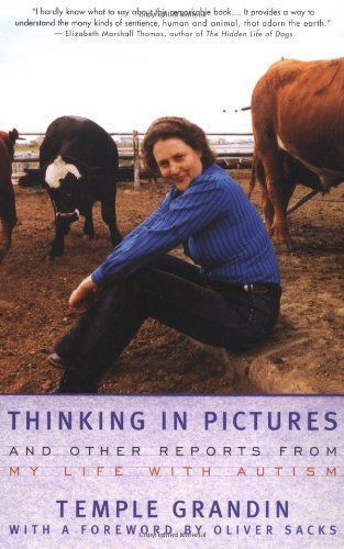 Thinking in Pictures
