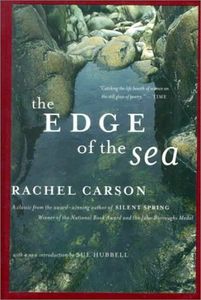 The Edge of the Sea