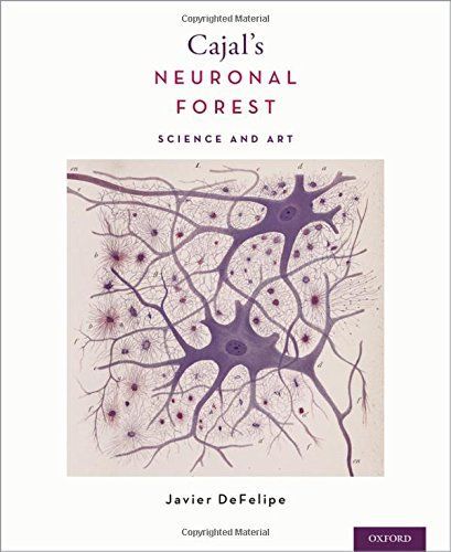 Cajal's Neuronal Forest