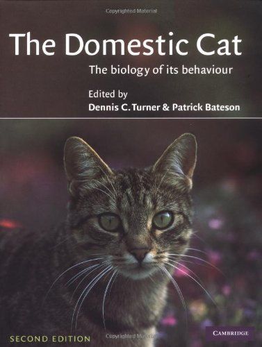 The Domestic Cat