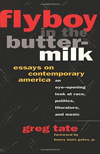 Flyboy in the Buttermilk: Essays on Contemporary America