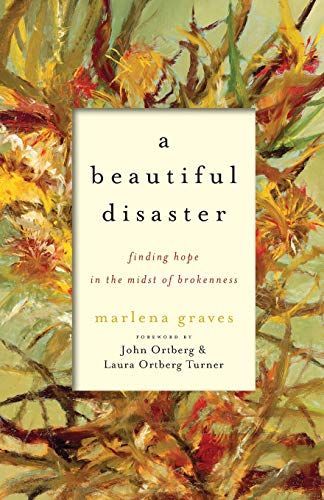 A Beautiful Disaster