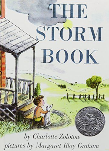 The Storm Book