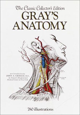 Anatomy, Descriptive and Surgical