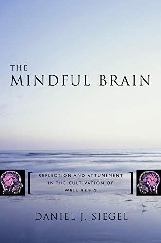 The Mindful Brain: Reflection and Attunement in the Cultivation of Well-Being (Norton Series on Interpersonal Neurobiology)