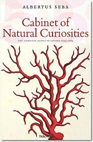 Cabinet of Natural Curiosities