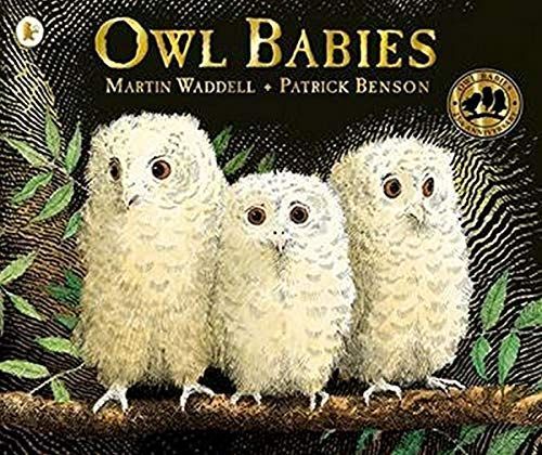 Owl Babies 25th Anniversary Edition