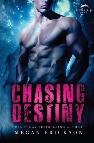 Chasing Destiny