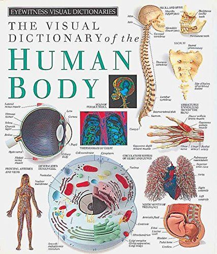 The Visual Dictionary of the Human Body