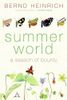 Summer World