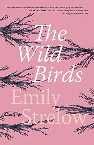 The Wild Birds