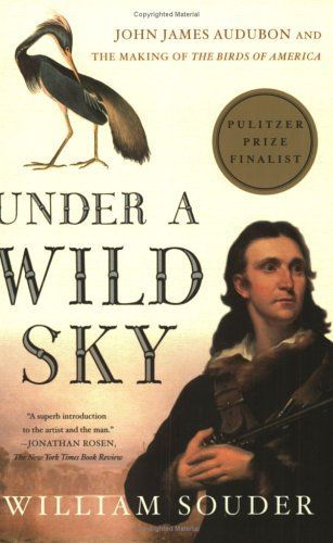 Under a Wild Sky