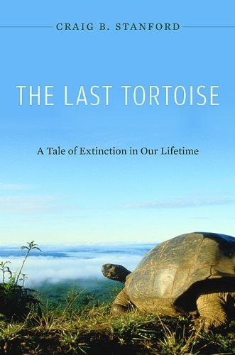 The Last Tortoise