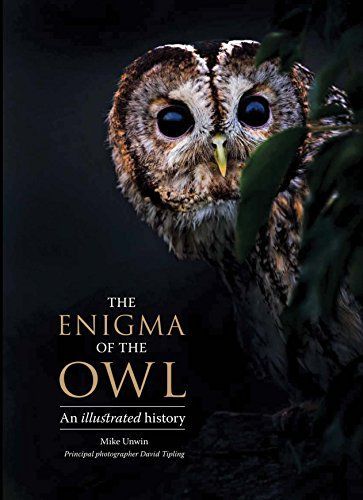 The Enigma of the Owl