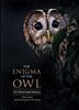 The Enigma of the Owl