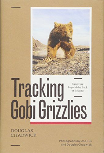 Gobi Grizzlies