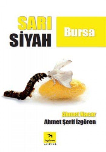 Sari Siyah Bursa