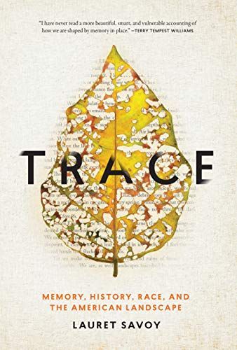 Trace