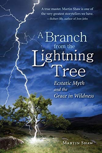 A Branch from the Lightning Tree