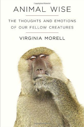 Animal Wise