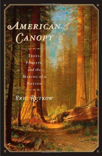 American Canopy