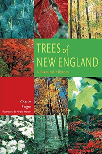 Trees of New England